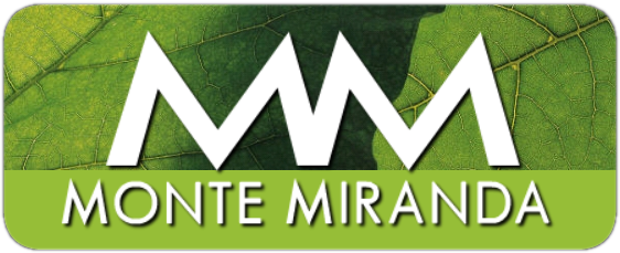 LogoMonteMiranda